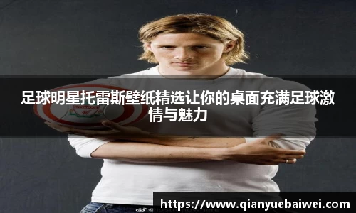足球明星托雷斯壁纸精选让你的桌面充满足球激情与魅力